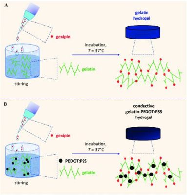  Gelatin: Biocompatible Hydrogel for Tissue Engineering and Regenerative Medicine!